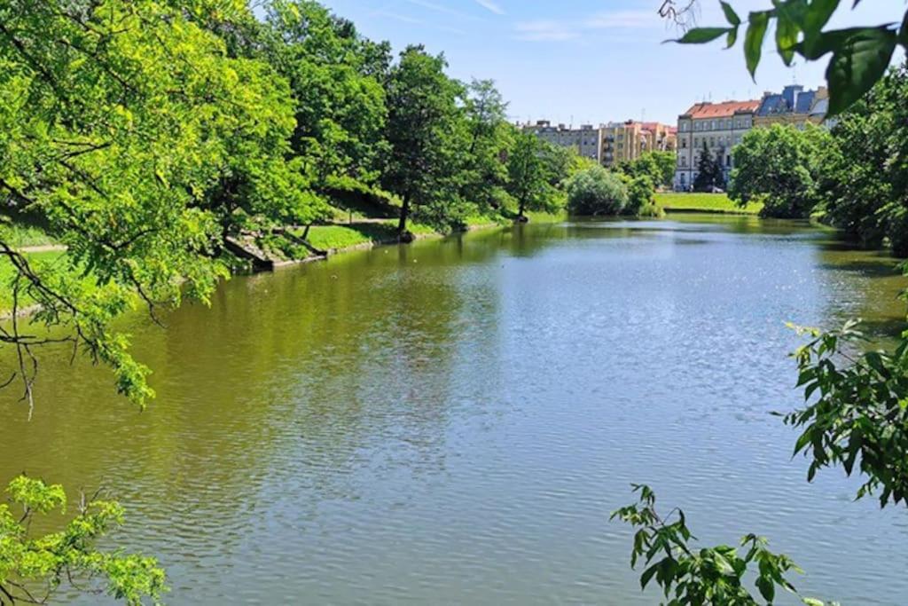 Апартаменты Parkowy Apartament Вроцлав Экстерьер фото