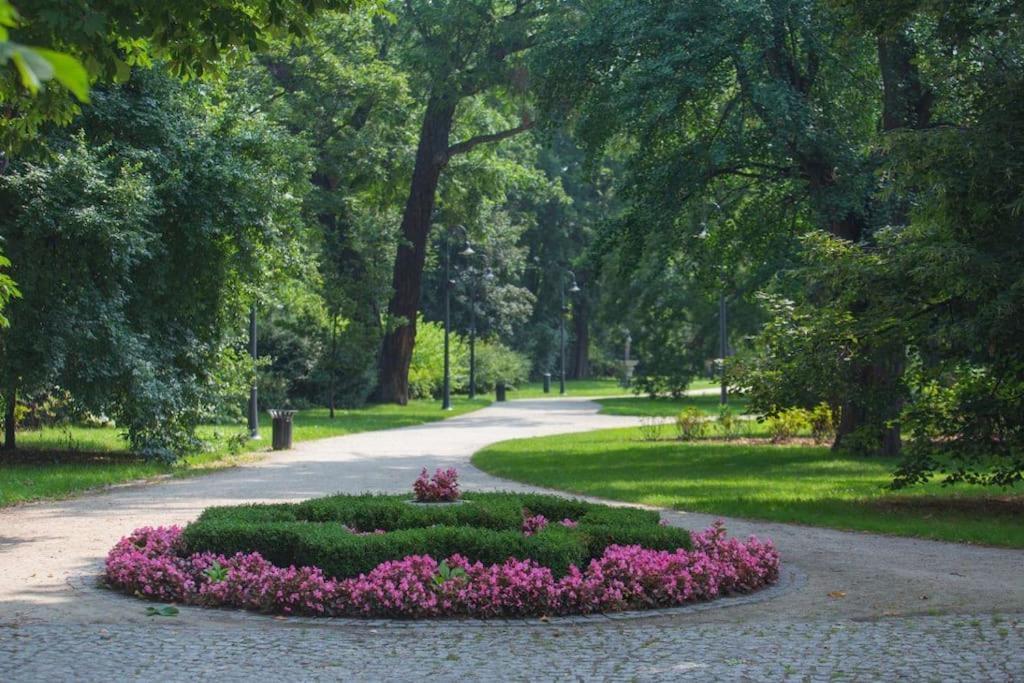 Апартаменты Parkowy Apartament Вроцлав Экстерьер фото